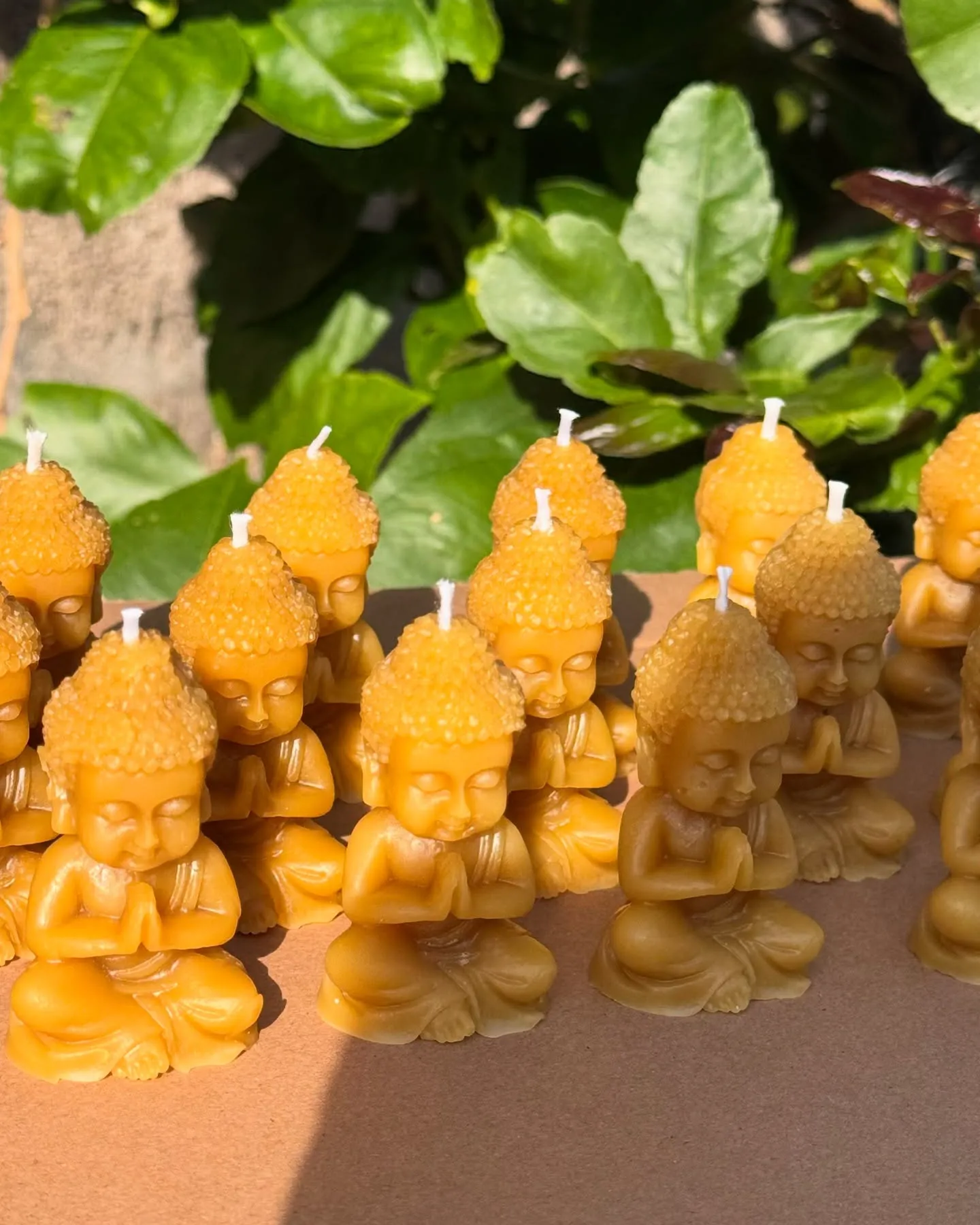 Velas de Miel - Buda